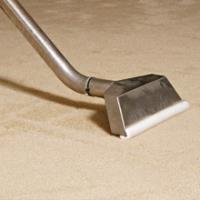 Professional Carpet Cleaning Guys image 1
